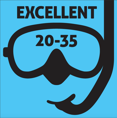 Monday's San Diego Dive Report